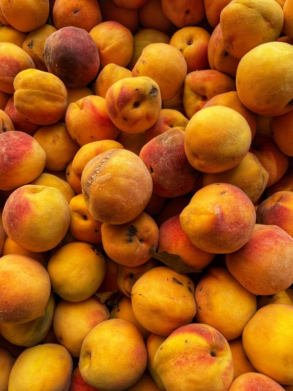 Quelles sont les techniques de pêche en camping sauvage en Écosse?